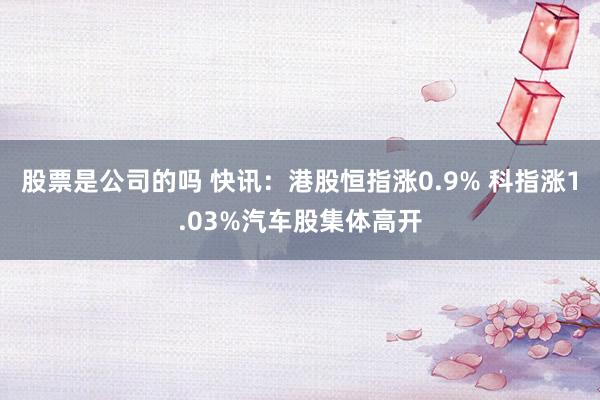 股票是公司的吗 快讯：港股恒指涨0.9% 科指涨1.03%汽车股集体高开