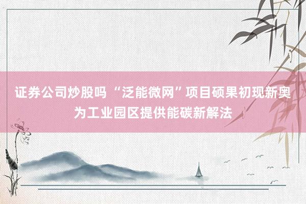 证券公司炒股吗 “泛能微网”项目硕果初现新奥为工业园区提供能碳新解法