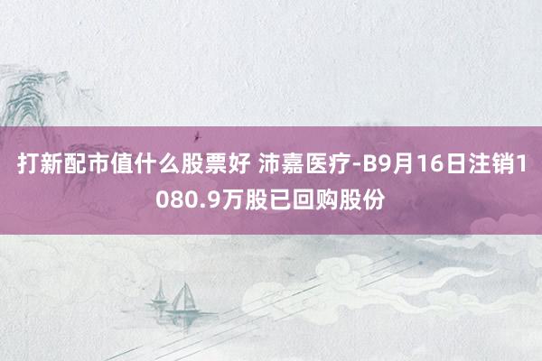 打新配市值什么股票好 沛嘉医疗-B9月16日注销1080.9万股已回购股份