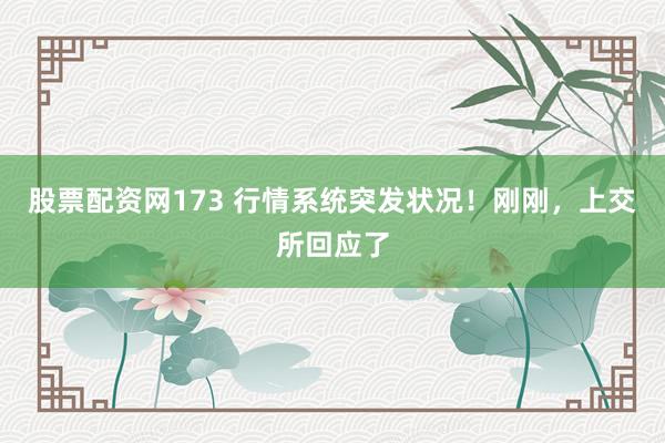股票配资网173 行情系统突发状况！刚刚，上交所回应了