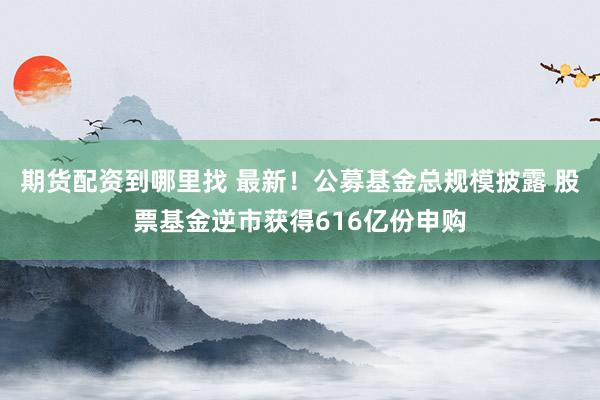 期货配资到哪里找 最新！公募基金总规模披露 股票基金逆市获得616亿份申购